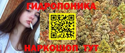 MESCALINE Новозыбков