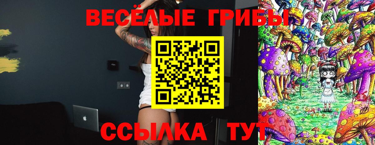 Псилоцибиновые грибы ЛСД  Псилоцибиновые грибы Magic Shrooms  наркошоп  Вход с VPN  Сургут 